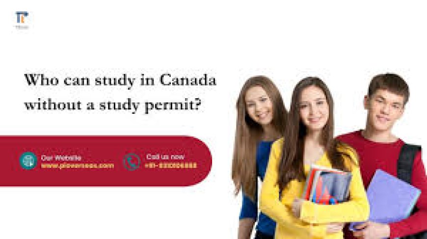 Study in Canada: Best 8 Ways to Study in Canada Without a Study  Permit