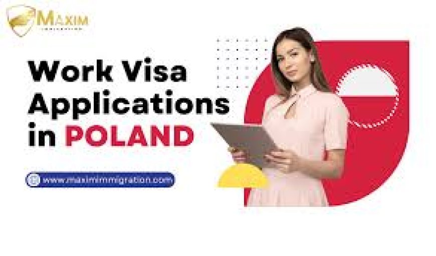 Poland Work Visa 2024: Visa Types, Requirements & Application  Process